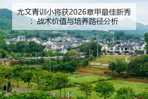 尤文青训小将获2026意甲最佳新秀：战术价值与培养路径分析